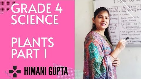 Class 4| L-1| PLANTS: The Producers Of Food |Part 1| Explained by Ms Himani Gupta