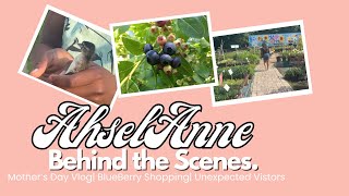 #BlueberryPlanting: How We Bought Plants & Ducks Enjoyed the Pool | Vlog| Ahsel Anne BTS