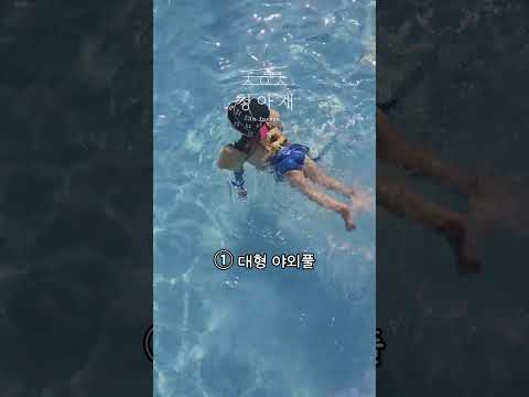 물개 아이들 모여라! 가평 키즈풀빌라 청아재