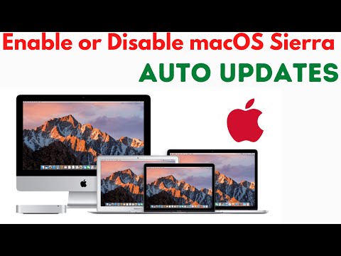 How To Enable or Disable Auto Update On macOS