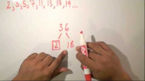 Factoring and Prime Numbers