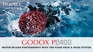 Capture Flowers Splashing into Water with the GODOX  P2400