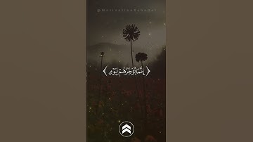 قران كريم