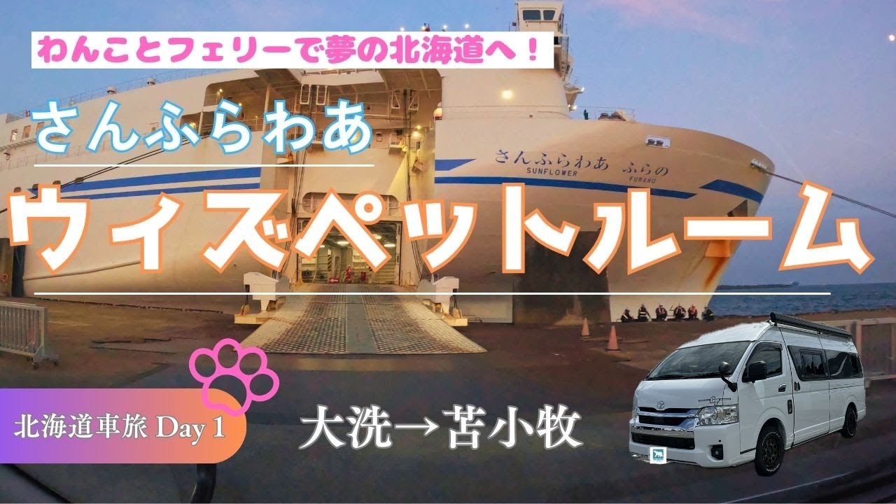 【犬連れ北海道旅行】超予約困難！？ さんふらわあ ウィズペットルーム乗船VLOG！チワワ姉妹とついに夢の大地 北海道へ！「北海道車旅篇 Day1」#キャンピングカー #車中泊 #トイファクトリー