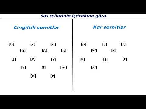 Azərbaycan dili 5-ci sinif 2. Samitlərin növləri