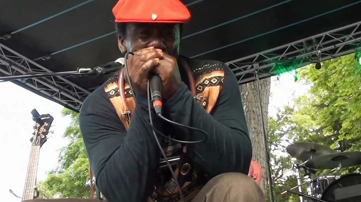 TERRY HARMONICA BEAN in The # 19 Cognac Blues Pass...