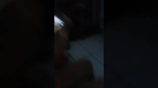 Laura De Oliveira Memezes