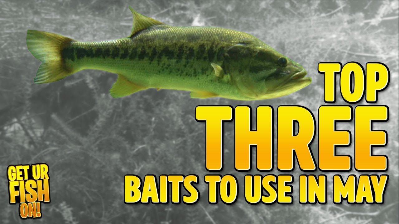 Top THREE Fishing Baits To Use in May to CRUSH GIANT BASS Bass