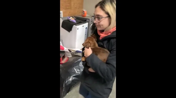 Roger gets a new wiener