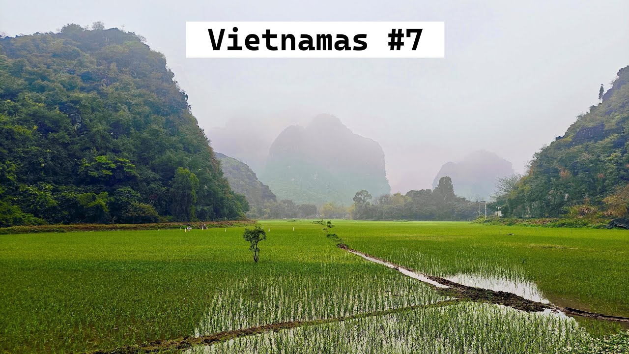 Vietnamas #7: šiaurinėje dalyje tikrai šalta vasarį, gyvenimas ryžių laukuose ir šildomas čiužinys