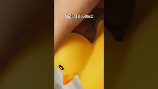 Download Lagu Duck.mp3 MP3