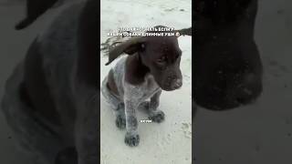 Артикул на ушные капли 👇🏻