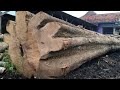 A Shocking Discovery While Splitting This Log Revealed on Camera