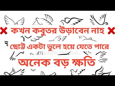 ভিডিও: কিভাবে একটি কবুতর মুক্তি