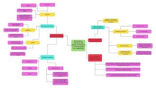 MAPA CONCEPTUAL ESTADO COLOMBIANO pdf