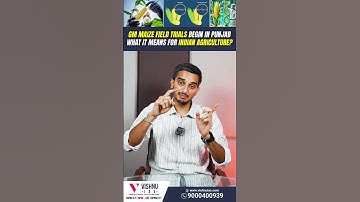 GM Maize Field Trials Start in Punjab | Future of Genetically Modified Crops in India