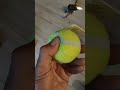 Jouet balle de tennis sans fibre de verre pour chien de chez zoomalia