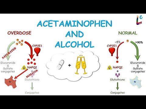 cyp2e1 acetaminophen glutathione ethanol Cooperativity in metabolism of and styrene mixtures Interaction with Ethanol Alcohol
