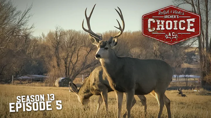 Colorado Mule Deer Hunt! - Archer’s Choice (Full Episode)  // S13: Episode 5