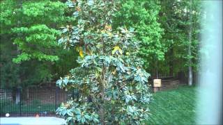 Tsd Sd97 Shooting Test