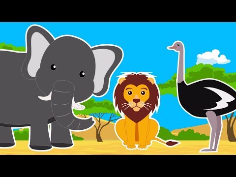 Video: Wat Is De Fauna Van De Savanne
