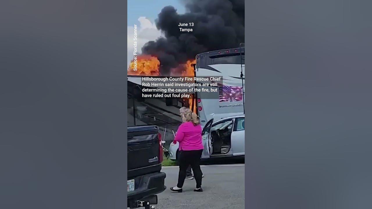 Five dogs killed in Tampa dog show fire Tuesday YouTube