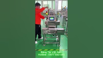 Cân kiểm hàng tự động , cân băng tải Hotline : 0977 550 085 #shortvideo