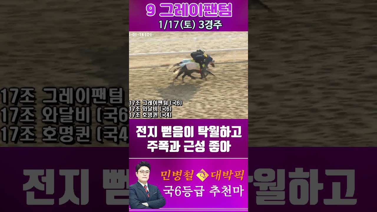 [서울 경마] 민병철 대박픽 2026년 1월 17일 토요 3R 추천마2 #경마 #horse #하이라이트 #automobile #한국마사회 #뉴스