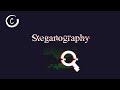 Steganography Explained: Easy Guide & DIY Implementation 🔍