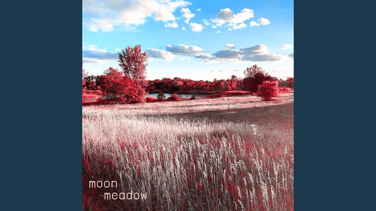 Watch moon meadow on YouTube Watch moon meadow on YouTube
