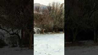 Httpsyoutubecomshortswhk4ffebfiksikrhxkhcgtwu4