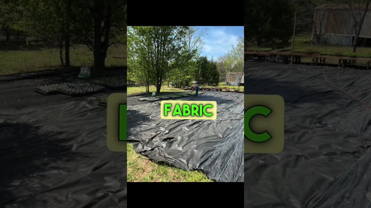 The land we bought was TRASHED! Now, It’s beautiful!
