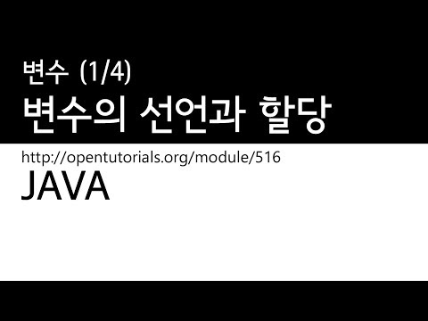 Java - 변수 (1/4) : 변수의 선언과 할당