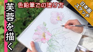 蓮と鶴 手描き色鉛筆原画+モーショングラフィック動画 セート mqdefault.jpg
