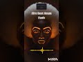 Afro Beat House Music #afrohouse #clubculture #serengetivibes
