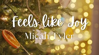 Micah Tyler | Feels like Joy ( Lyrics & Scenery)