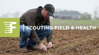Climate FieldView™ for Planting: Scouting Field Health
