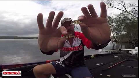 Atomic Bream Shad 40mm with Nick Reay