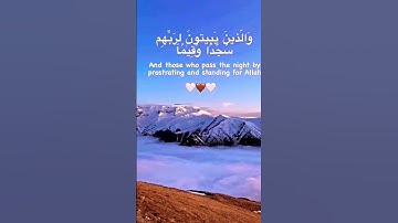 وعباد الرحمن الذين يمشون على الأرض هونا وإذا خاطبهم الجاهلون قالوا سلاما | الآية 63 من سورة الفرقان