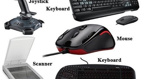 Workshop on Hardware : Basic of Hardware i.e. Input & Output devices | CTW