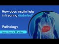 Insulin and diabetics  how does insulin help in treating diabetes  medimagic 3d medical