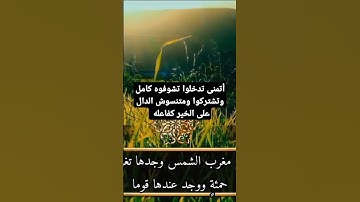 تلاوة خاشعة من سورة الكهف #القرآن_الكريم #تلاوة_خاشعة #سورة_الكهف #سورة_يس #اكسبلور #الشامي #تلاوة