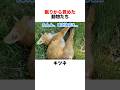 眠りから覚めた動物たち❣️