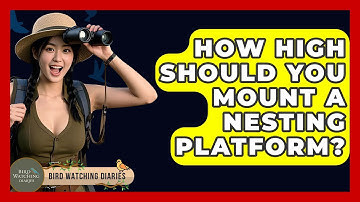 How High Should You Mount A Nesting Platform? - Bird Watching Diaries