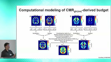 8th BigBrain Workshop 2024: Neuropil distributions in the human brain predict resting-state...