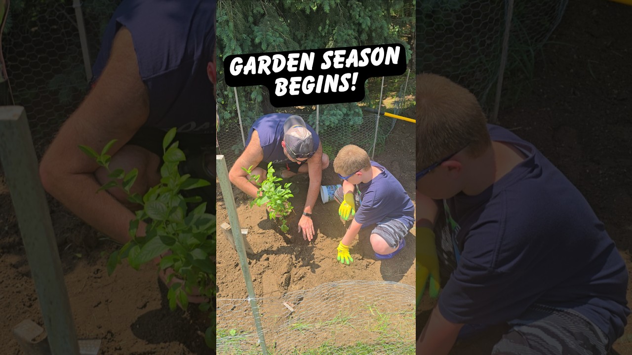 Finally Planting The Garden! 🥕 #gardening #success #diy