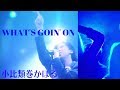 小比類巻かほる - WHAT&#39;S GOIN&#39; ON (Live)