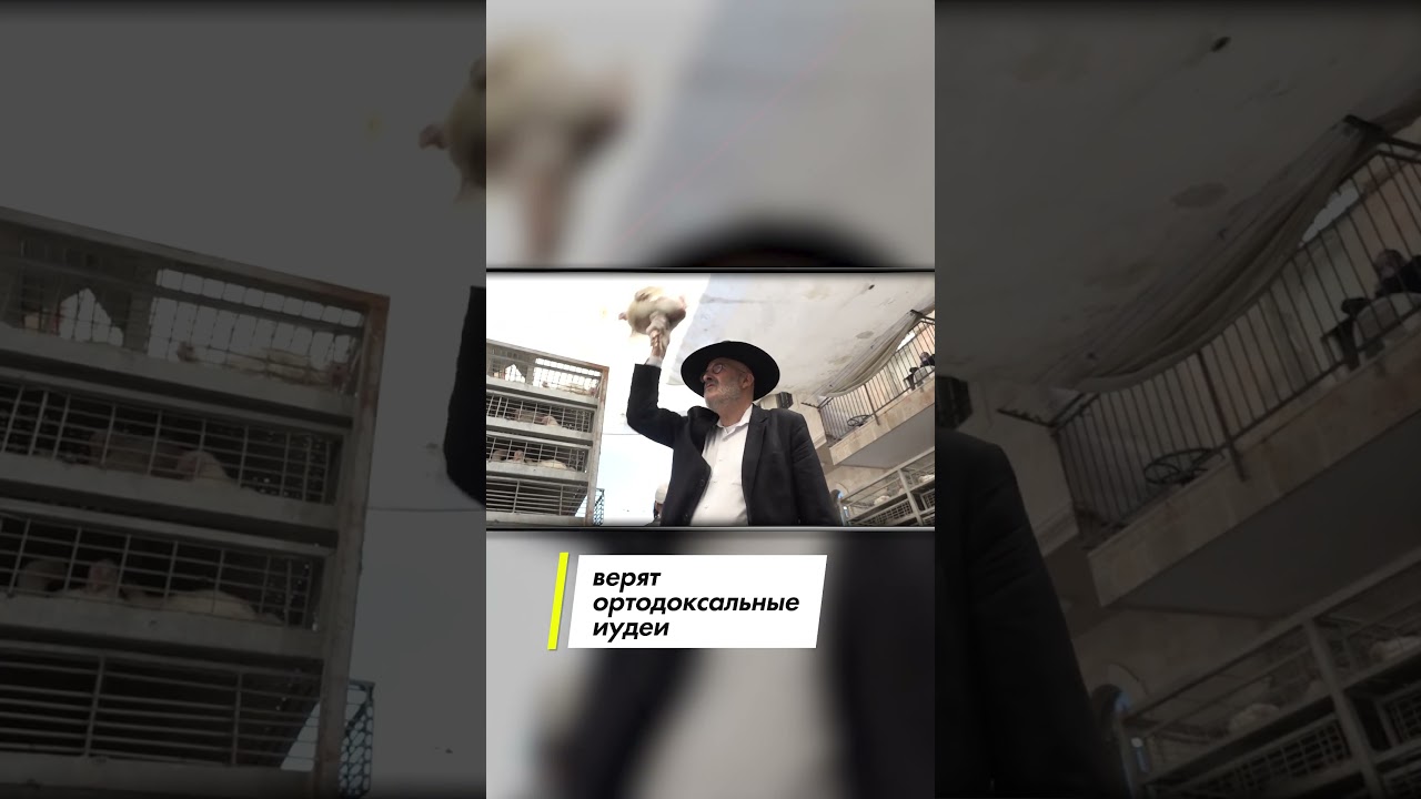 Капарот: почему евреи крутят курицу над головой