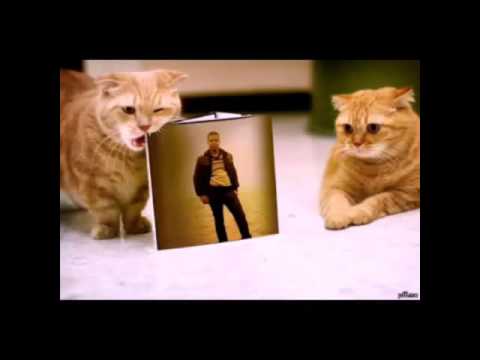 اوعدك جورج وسوف