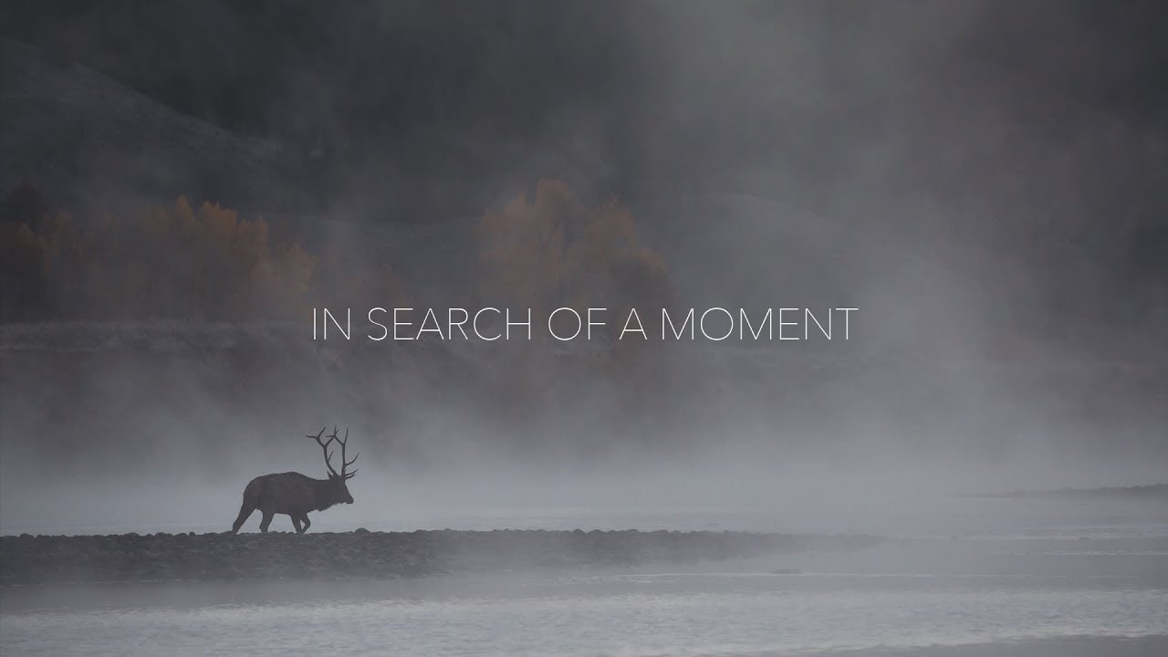 In Search Of A Moment // Jake Davis